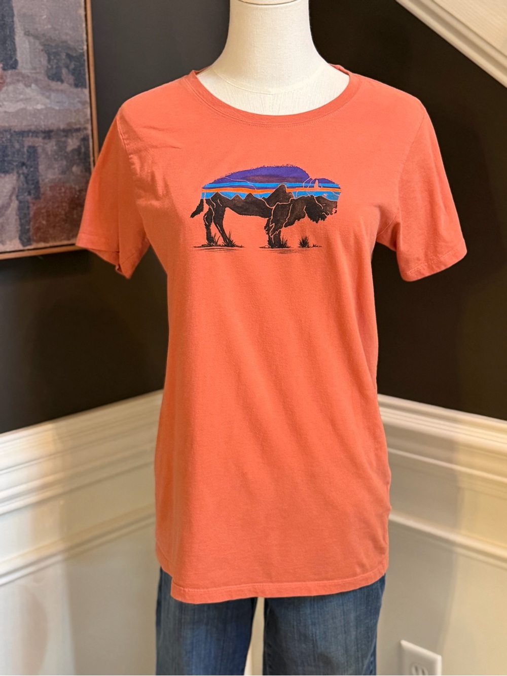 Patagonia Gorpcore Organic Cotton Buffalo Graphic Tee Women’s Size S (EUC)